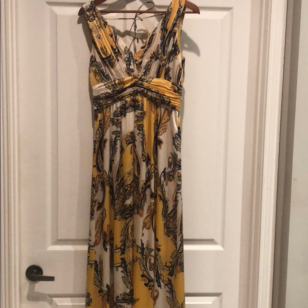 Gorgeous and elegant Maxi dress from CASHE size 4